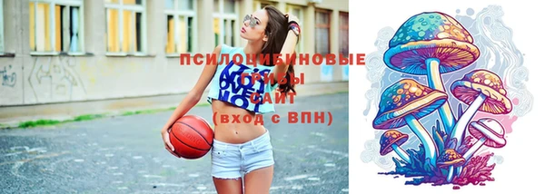 Альфа ПВП Невьянск